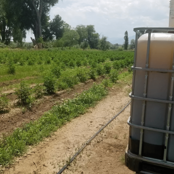 Step Up Your Grow Game