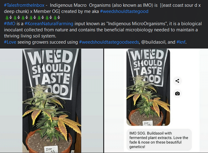 fermented-plant-extracts-tales-from-the-inbox-10