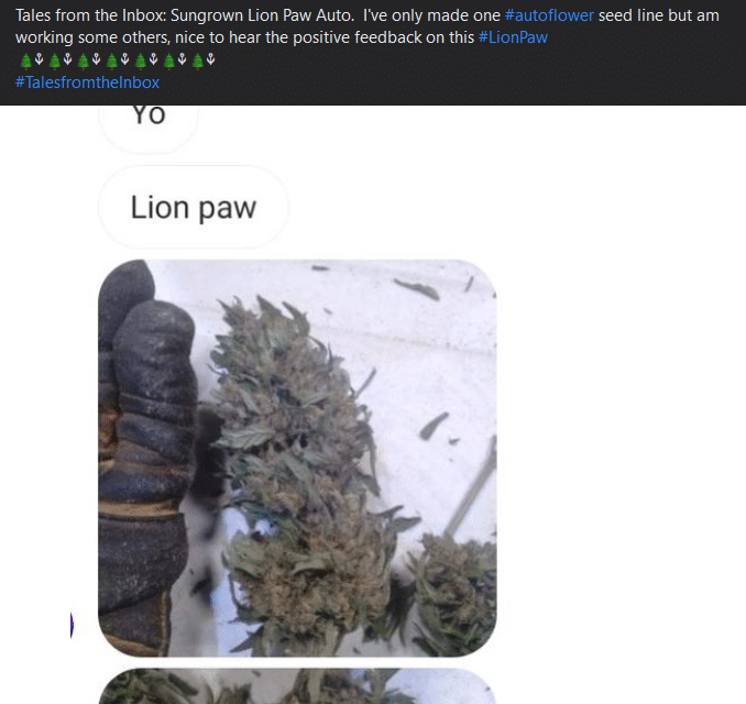 fermented-plant-extracts-tales-from-the-inbox-15