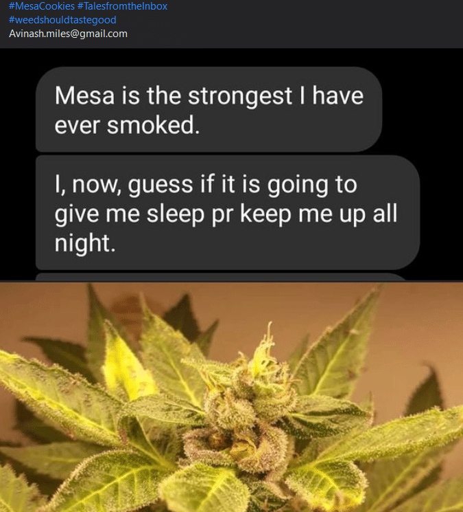 fermented-plant-extracts-tales-from-the-inbox-16
