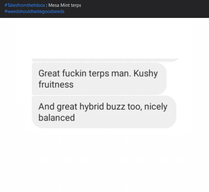 fermented-plant-extracts-tales-from-the-inbox-19