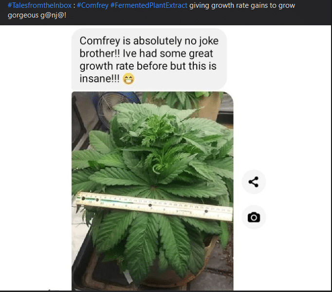 fermented-plant-extracts-tales-from-the-inbox-4