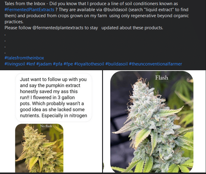 fermented-plant-extracts-tales-from-the-inbox-9